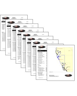 MSA Report (Metropolitan Statistical Area)